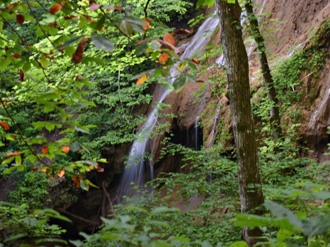Falls Ridge Preserve-Elliston必去景点