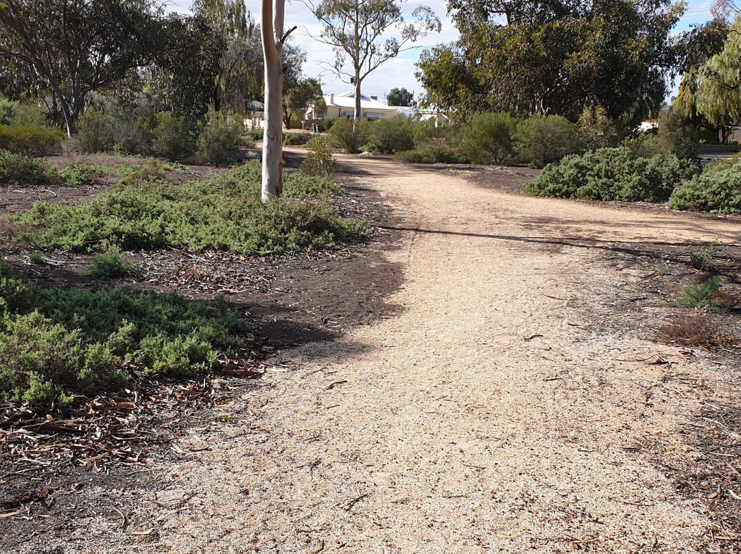 Loxton Community Conservation & Heritage Park景点图片