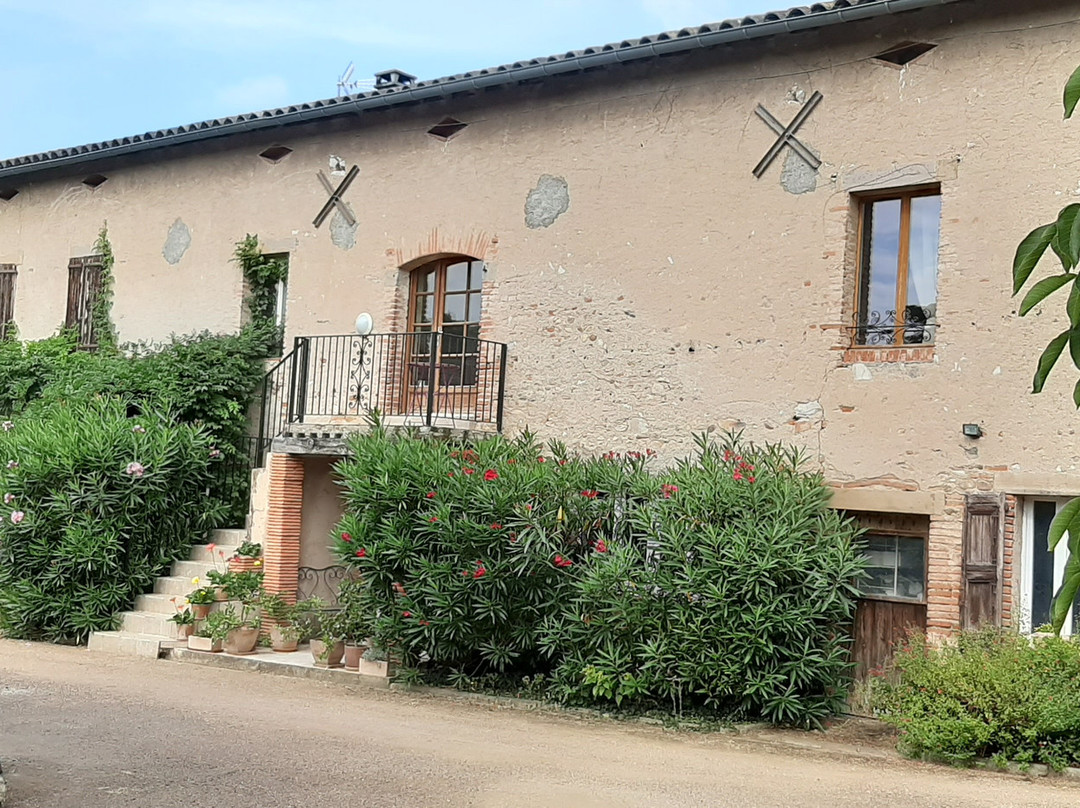 Clos d'Albi主图