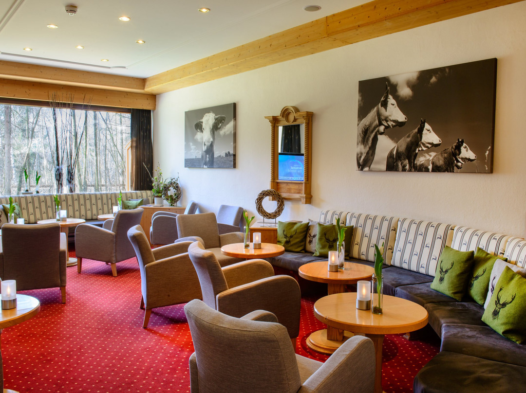 阿拉贝拉布劳内克酒店主图