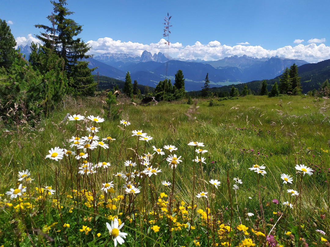 Alpe di Villandro-Villandro必去景点