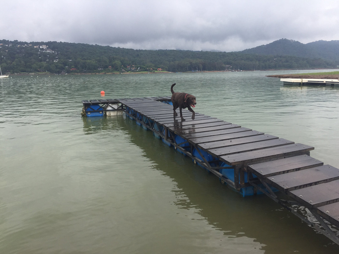 Mexico Paddle Co景点图片
