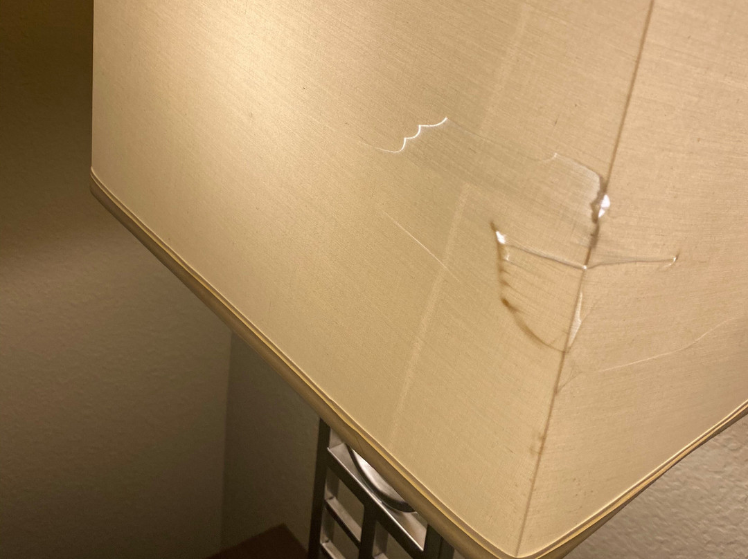 Comfort Suites Near Hot Springs Park主图