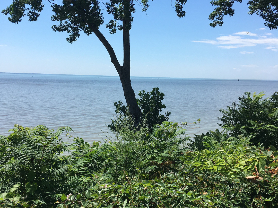 Auberge du Lac Saint-Pierre主图