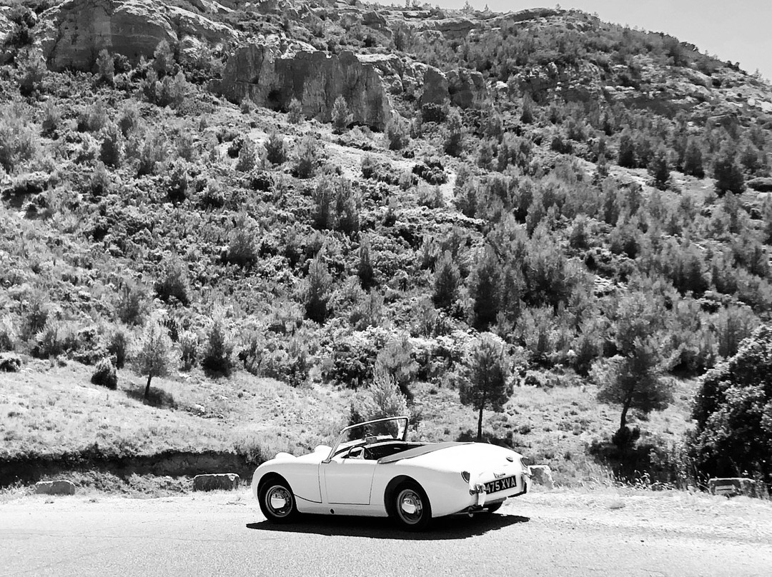 Provence Classics景点图片