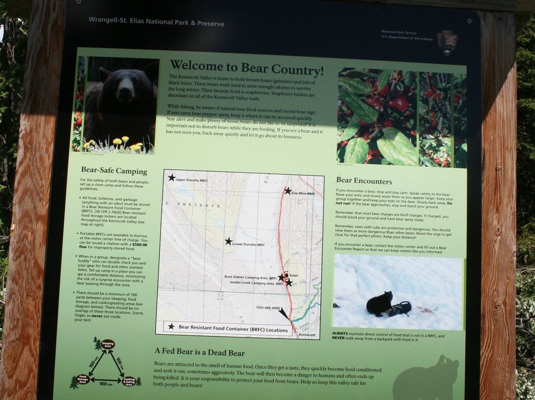 Root Glacier Trail-朗格－圣伊利亚斯国家公园暨保护区必去景点