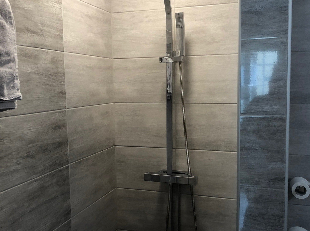 卢德维卡司丹思酒店主图