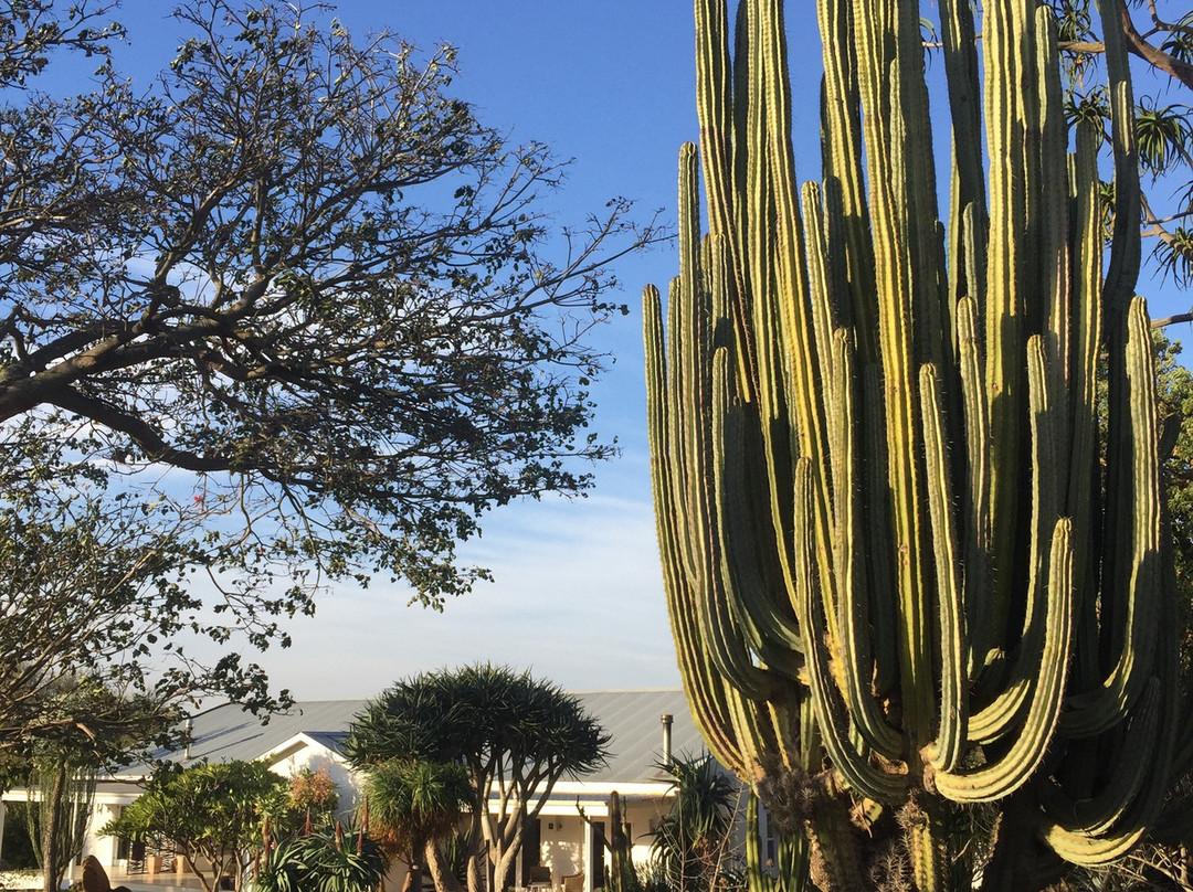 Mo & Rose at Soekershof主图