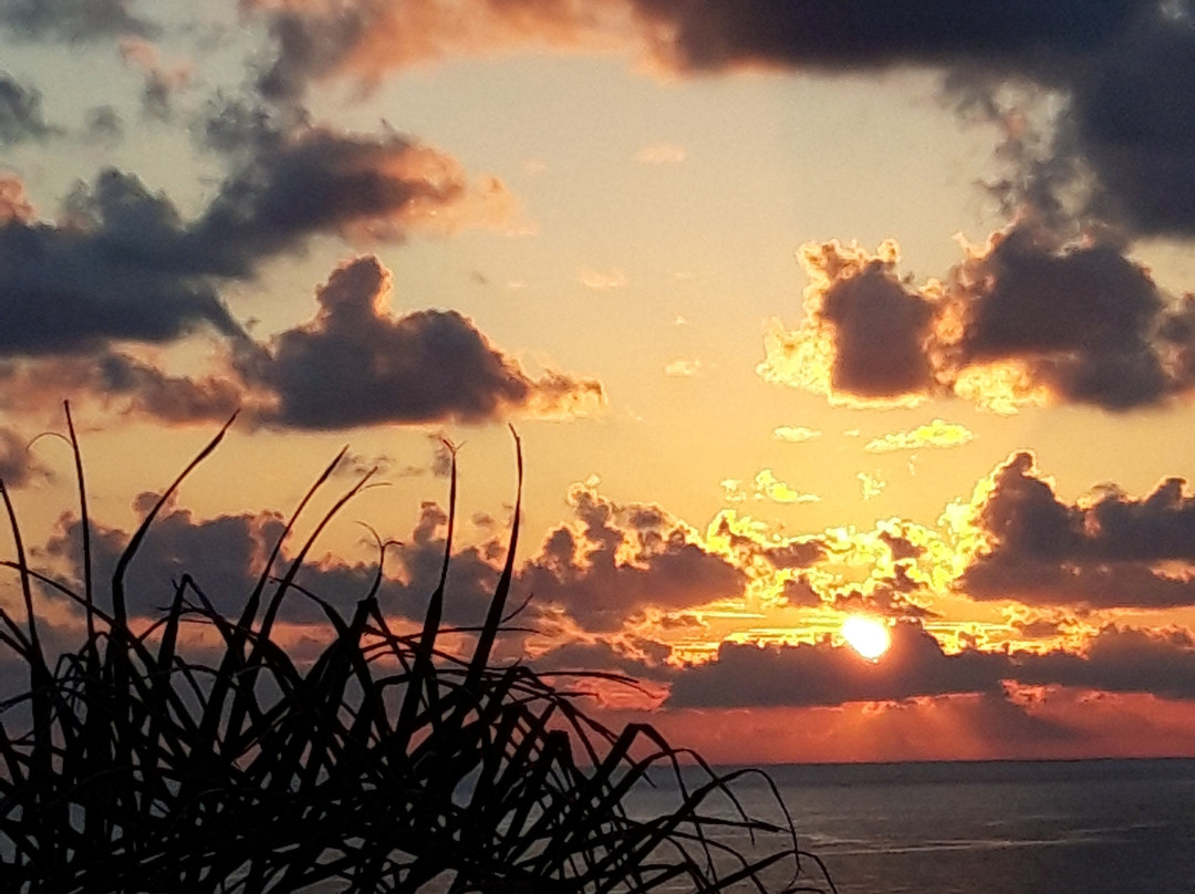 Villa D'Aquino主图