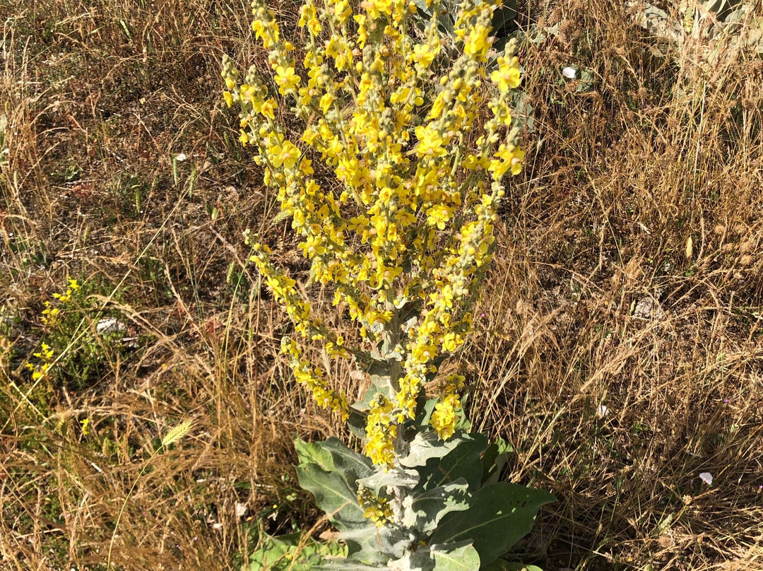 Altopiano di Rascino-Fiamignano必去景点