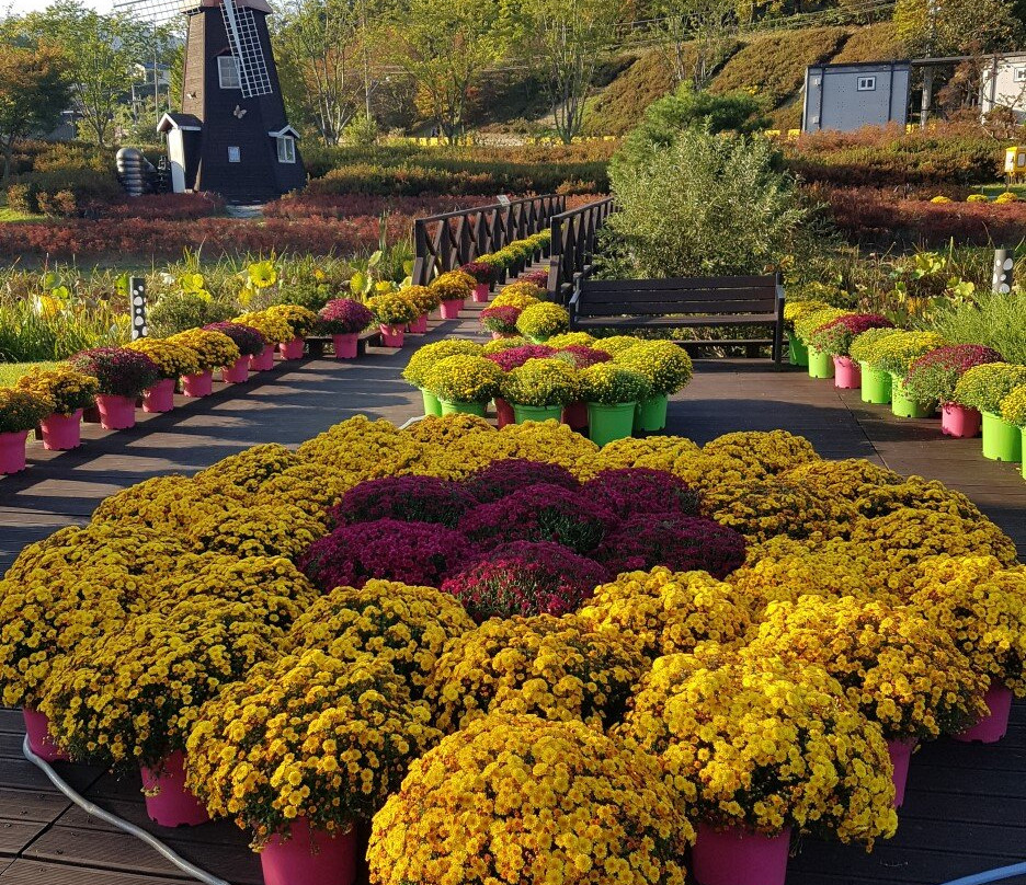 Daecheongho Natural Ecology Center-大田必去景点