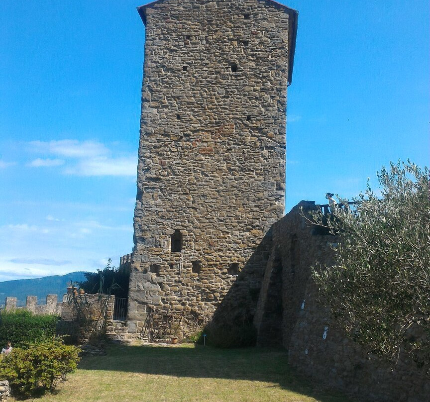 Castello di Montecchio Vesponi景点图片