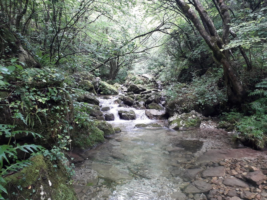 Valle di Inzino景点图片