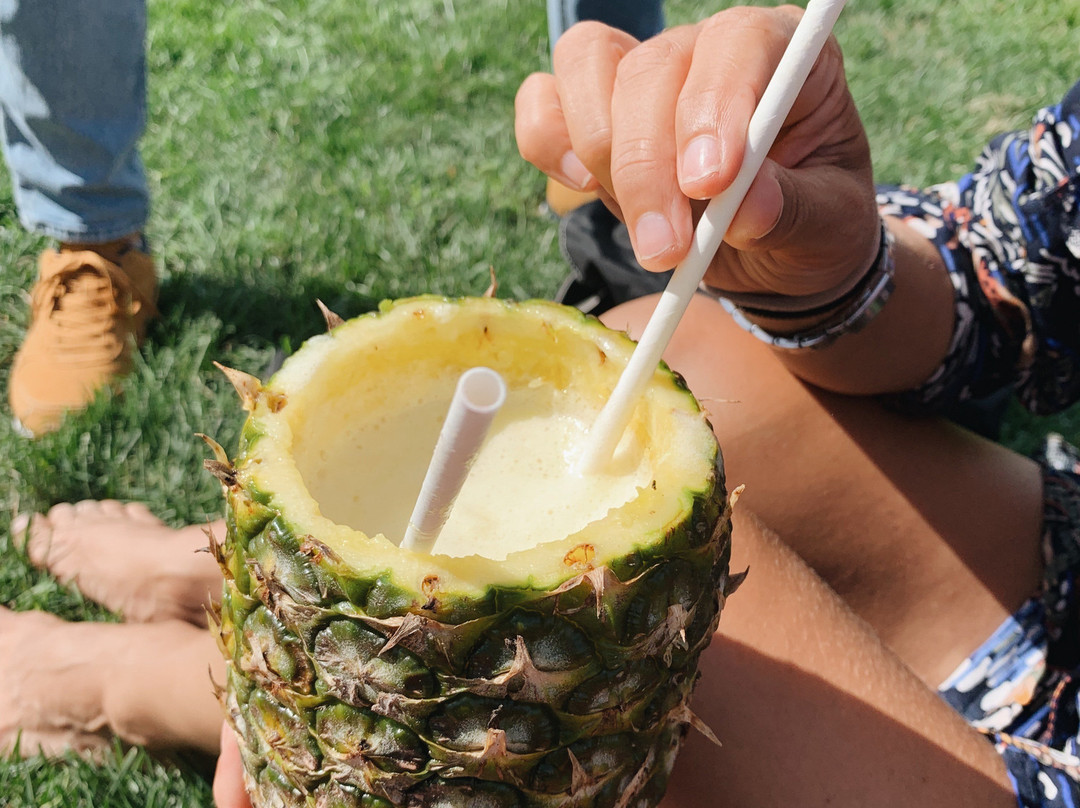 威廉斯堡美食集会-布鲁克林必去景点