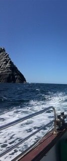 Skellig Michael Boat Trips景点图片