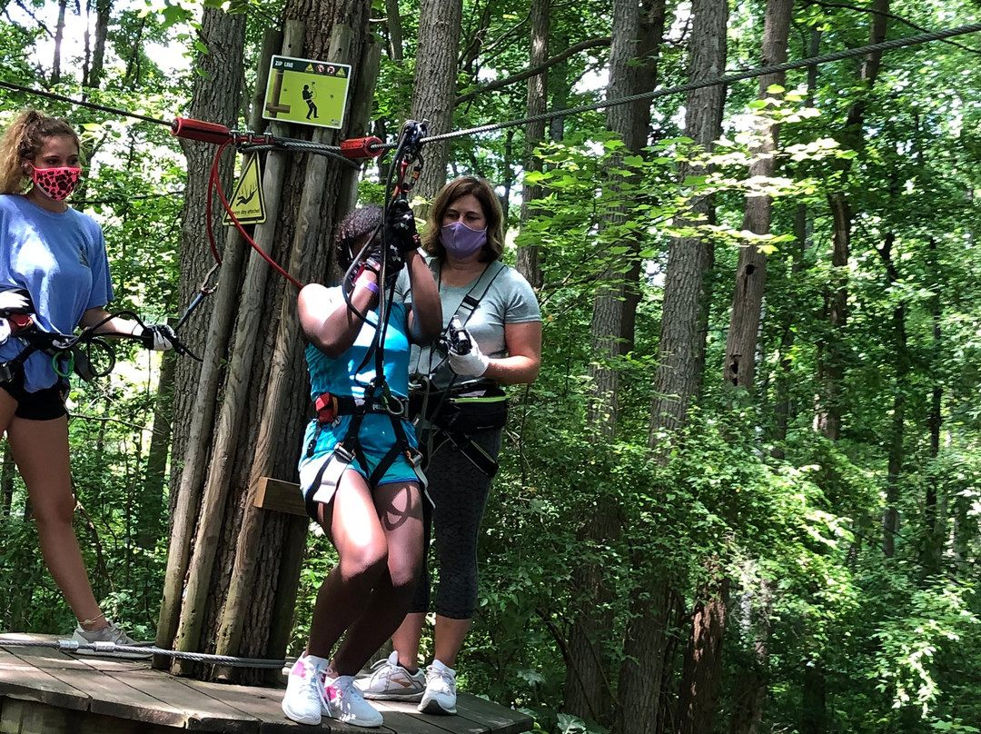 Go Ape Zipline & Adventure Park-Bear必去景点