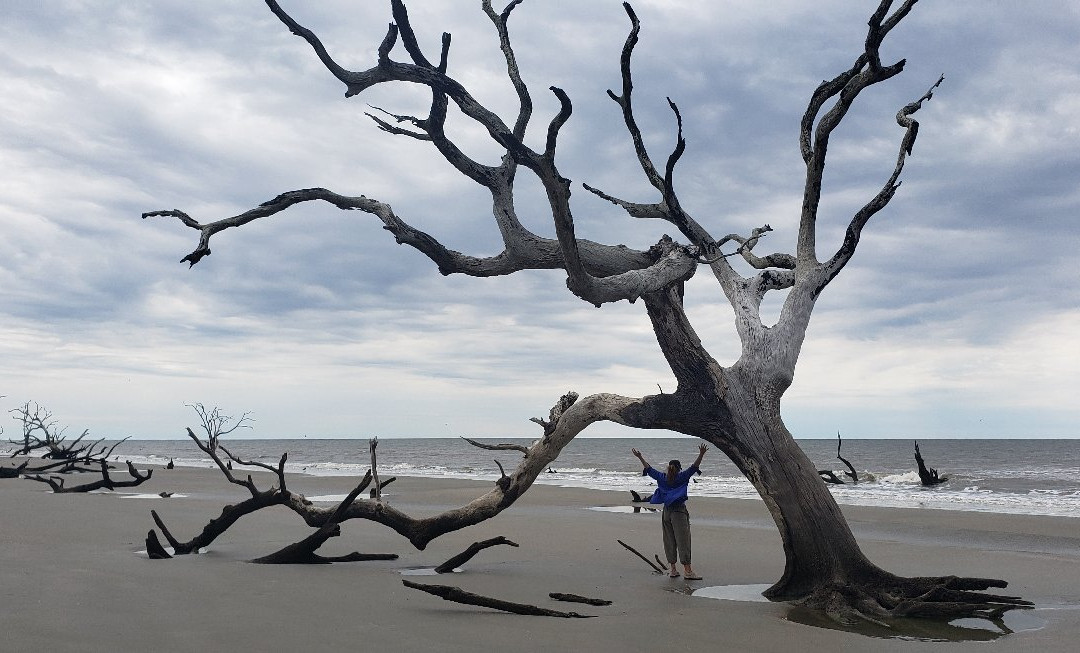 Cape Romain National Wildlife Refuge景点图片