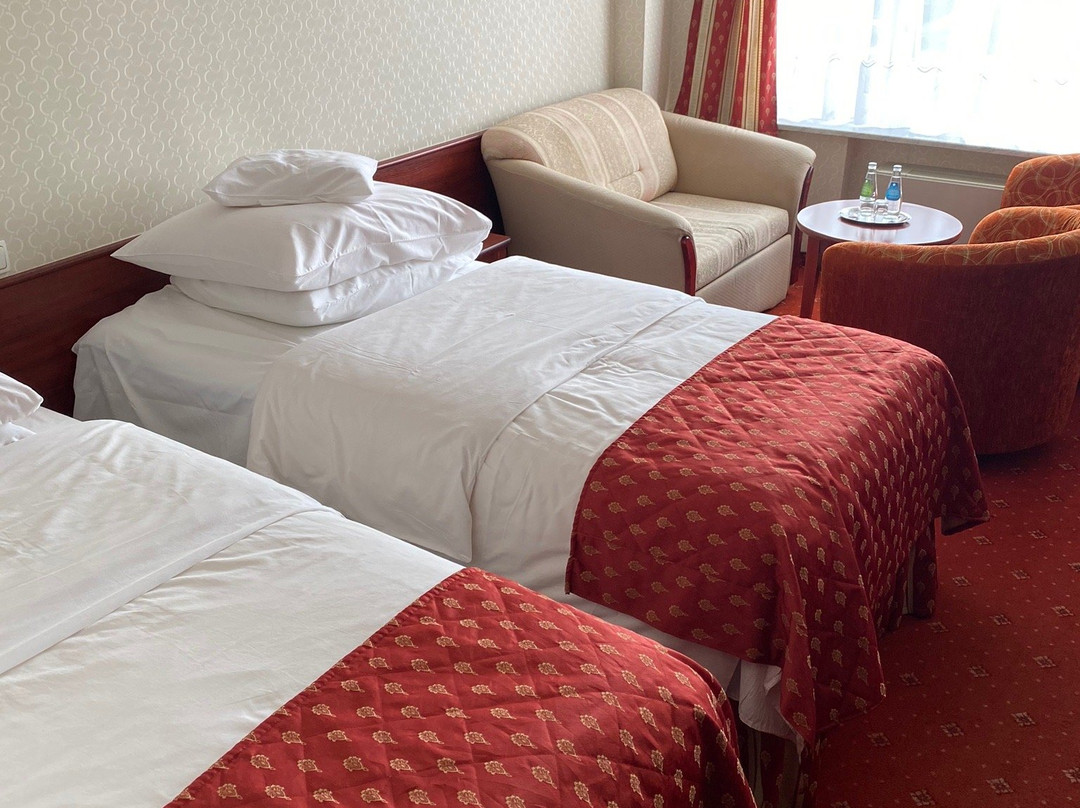 比亚韦斯托克格莱毕维基酒店主图