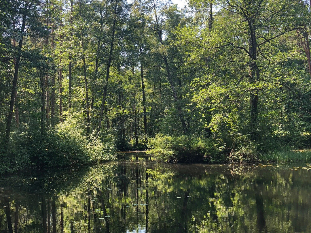 Natural Sanctuary Komarovskiy Bereg景点图片