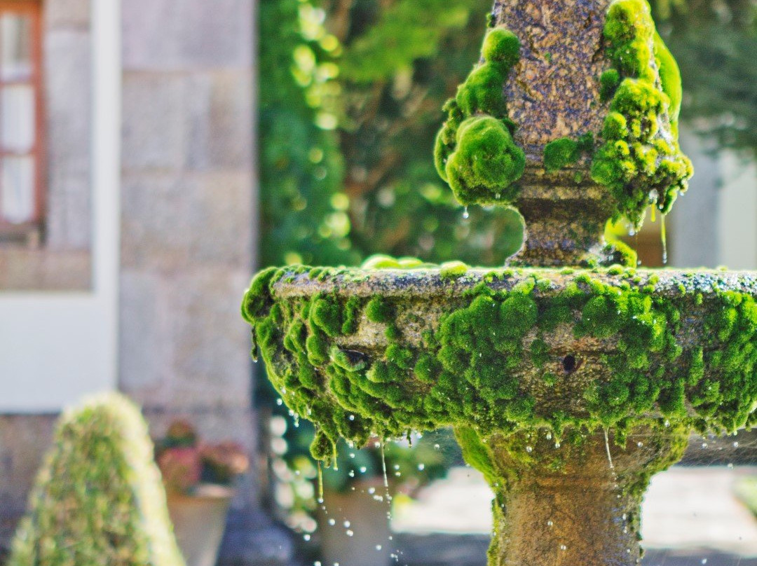 Quinta Do Convento Da Franqueira主图