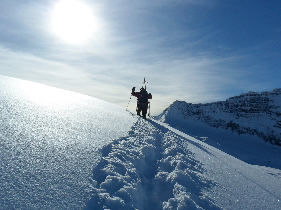 Donald旅游攻略图片