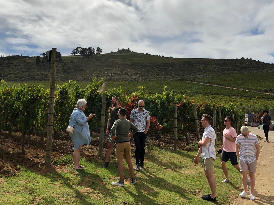 WineFairy-开普敦中心区必去景点