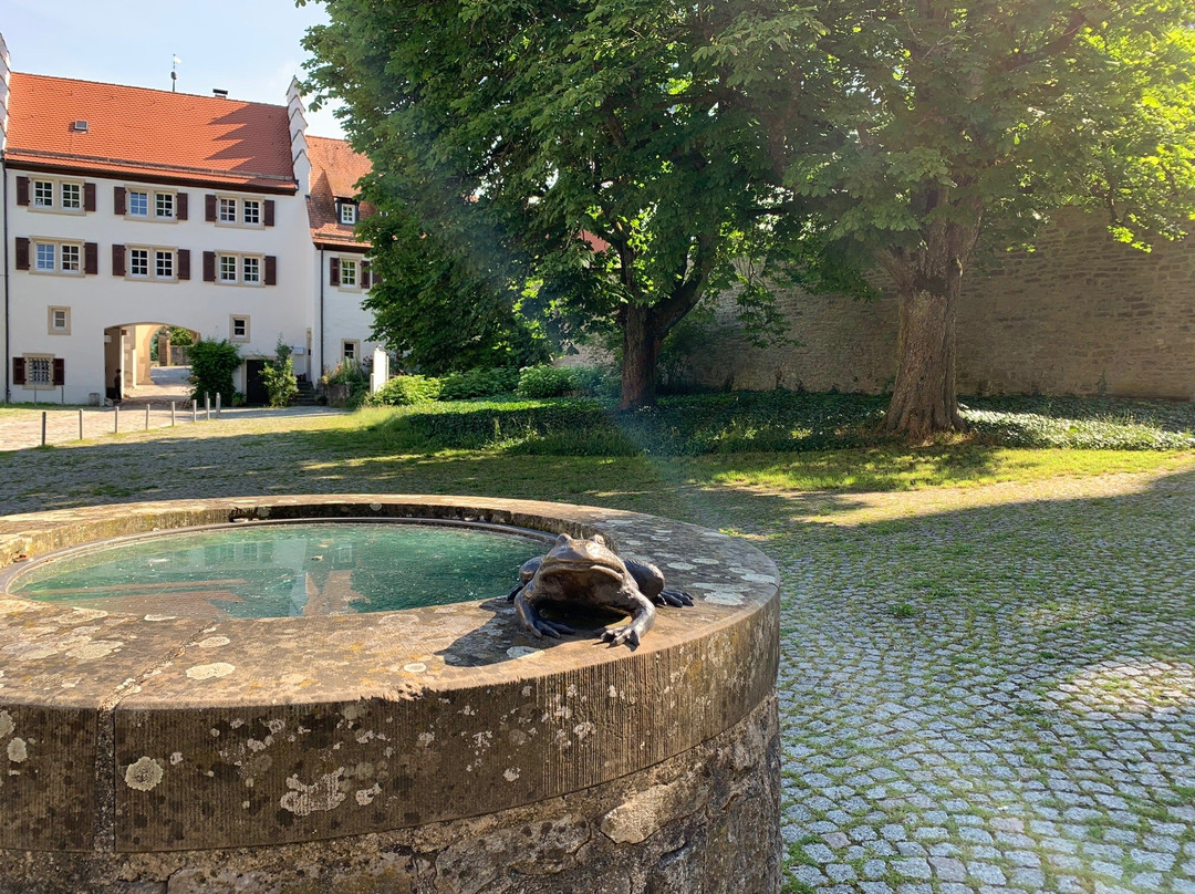 Kloster Schoental景点图片