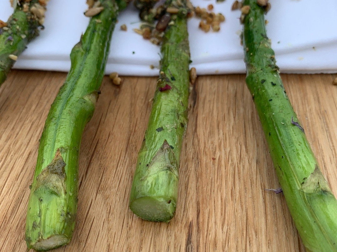 Mediamatic-阿姆斯特丹必去景点