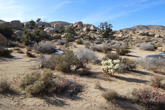 God's Way Love,Pioneertown
