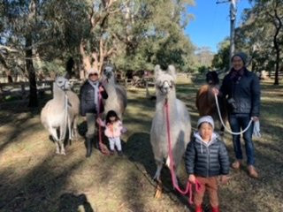 Hanging Rock Llama Treks-Woodend必去景点