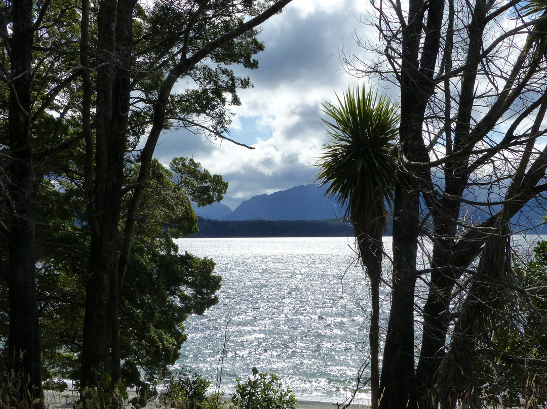 Manapouri Lake景点图片