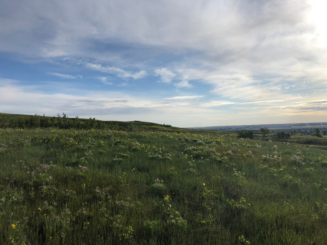 Nose Hill Park-卡尔加里必去景点