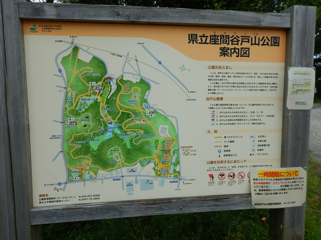 Zama Yatoyama Park-座间市必去景点