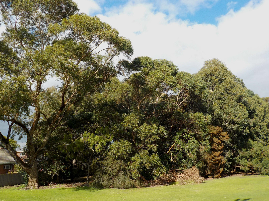 Namatjira Park景点图片