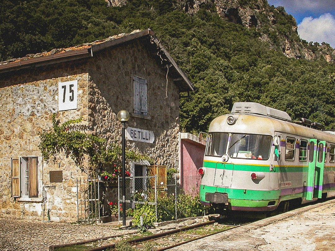 Trenino Verde Barbagia Express-Mandas必去景点