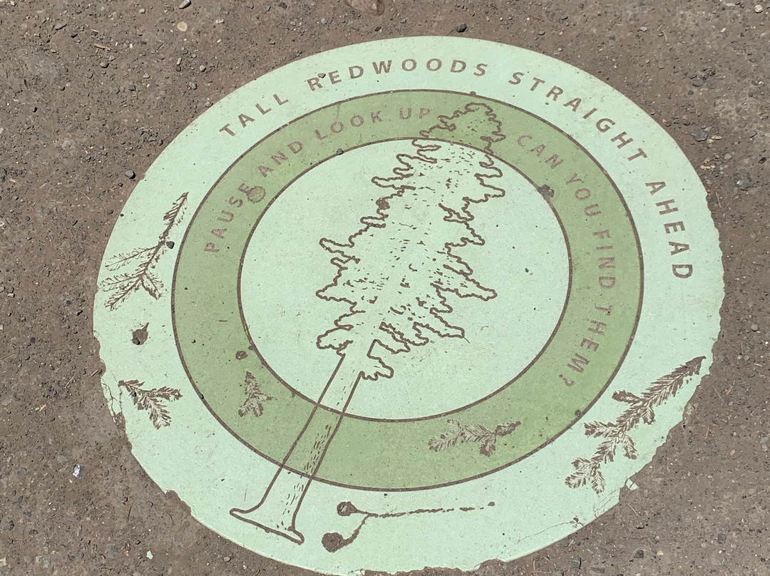 谬尔红杉森林-米尔谷必去景点