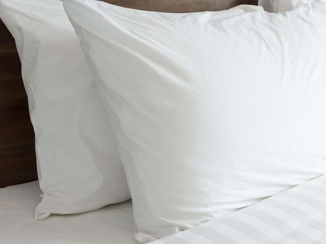 Knights Inn Sierra Vista主图