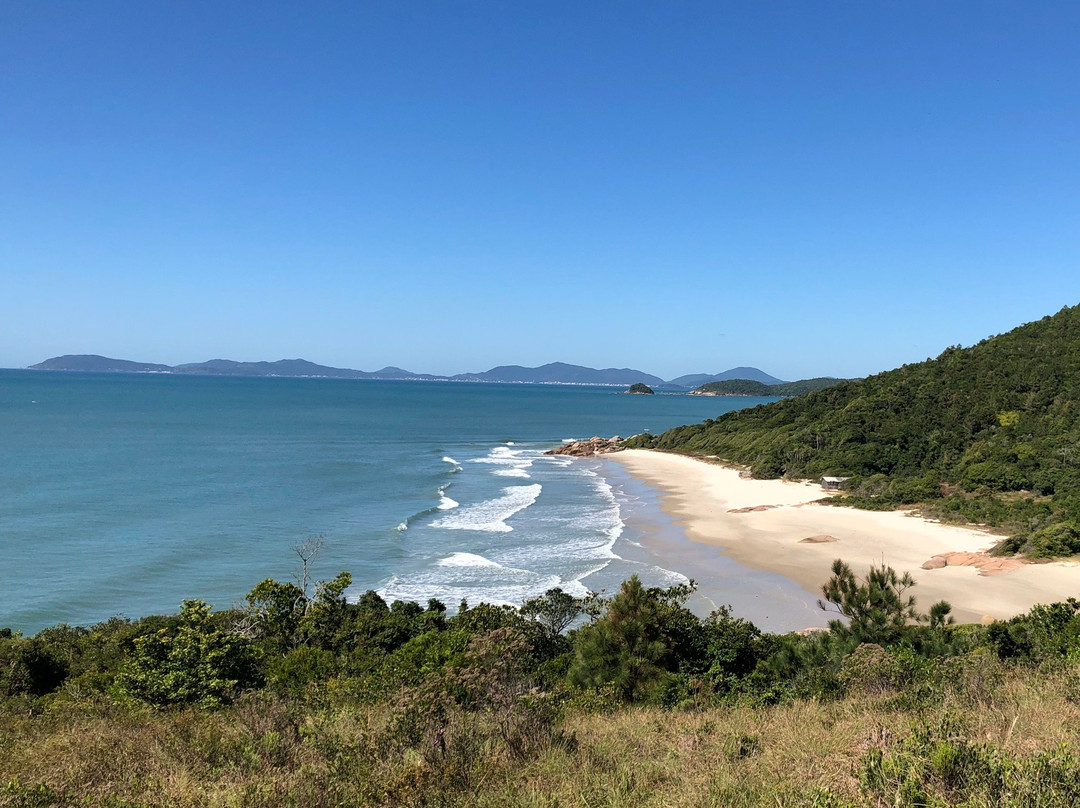 Fora Beach-Governador Celso Ramos必去景点