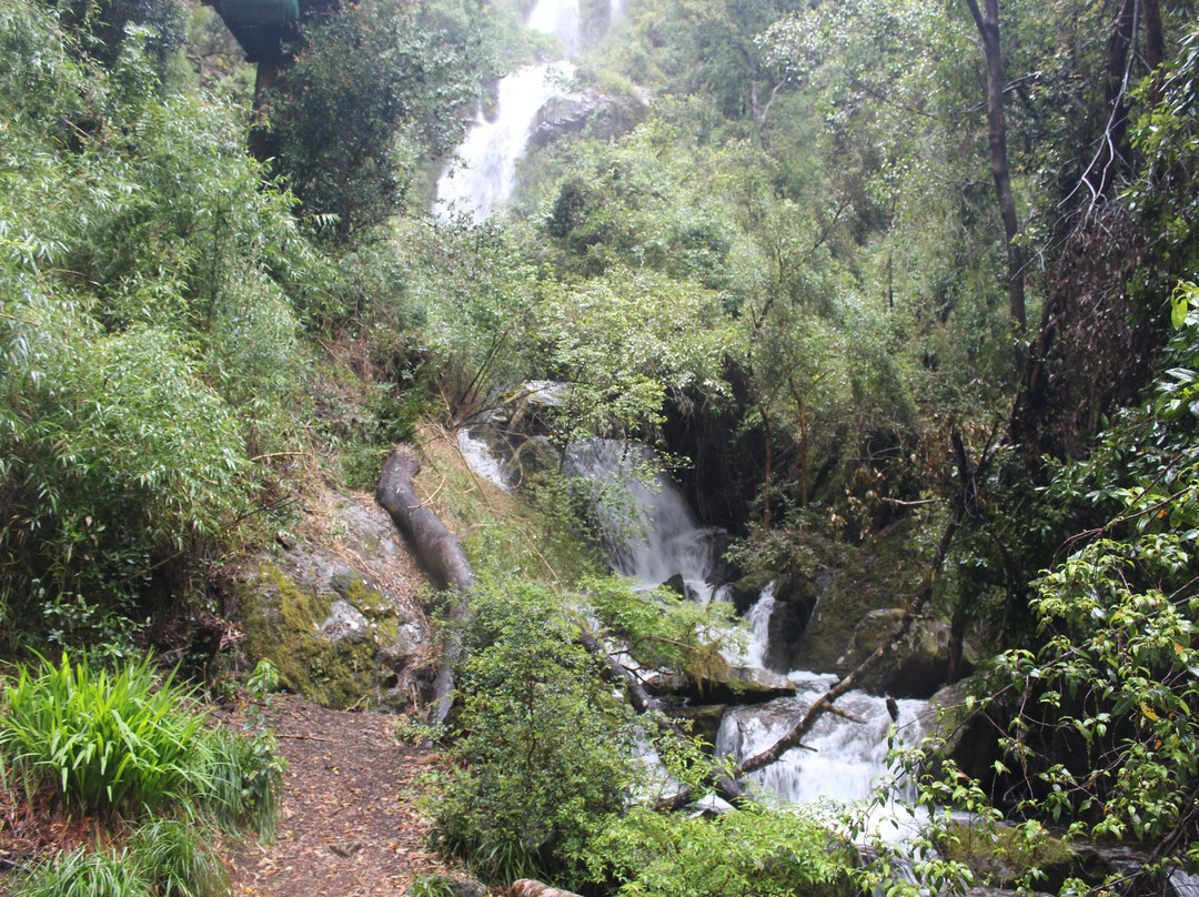 Cascada Velo de la Novia-Peulla必去景点