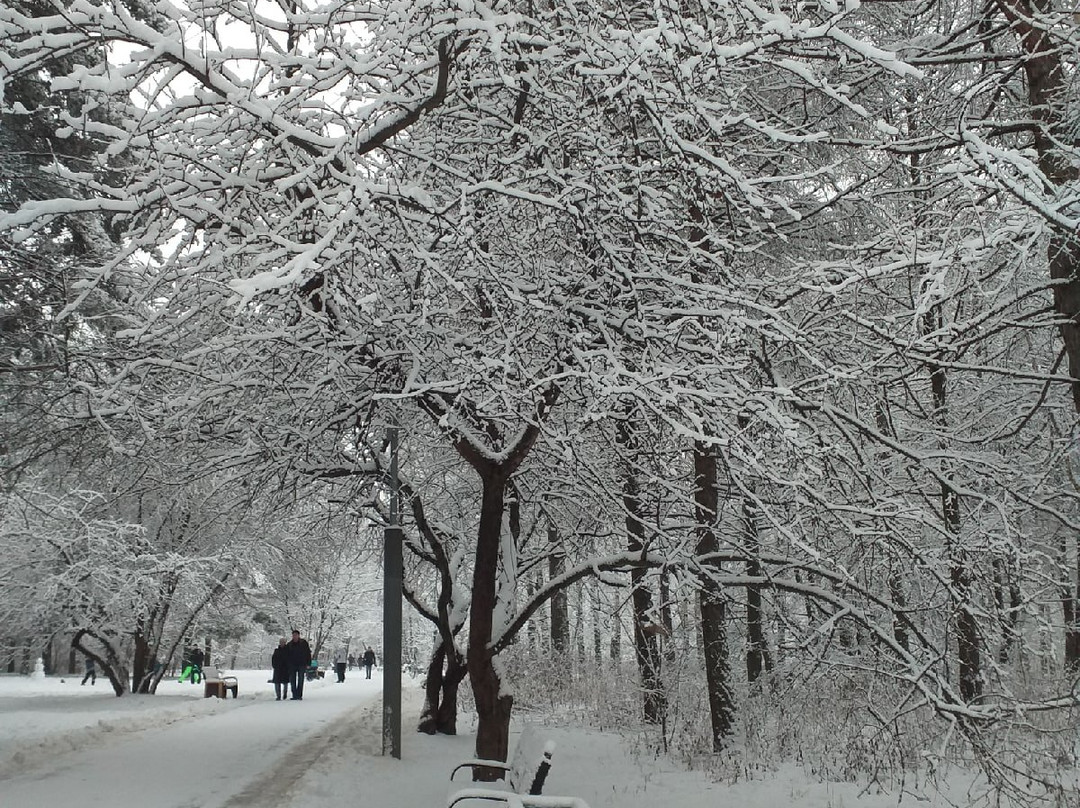 Troparevsky Forest Park景点图片
