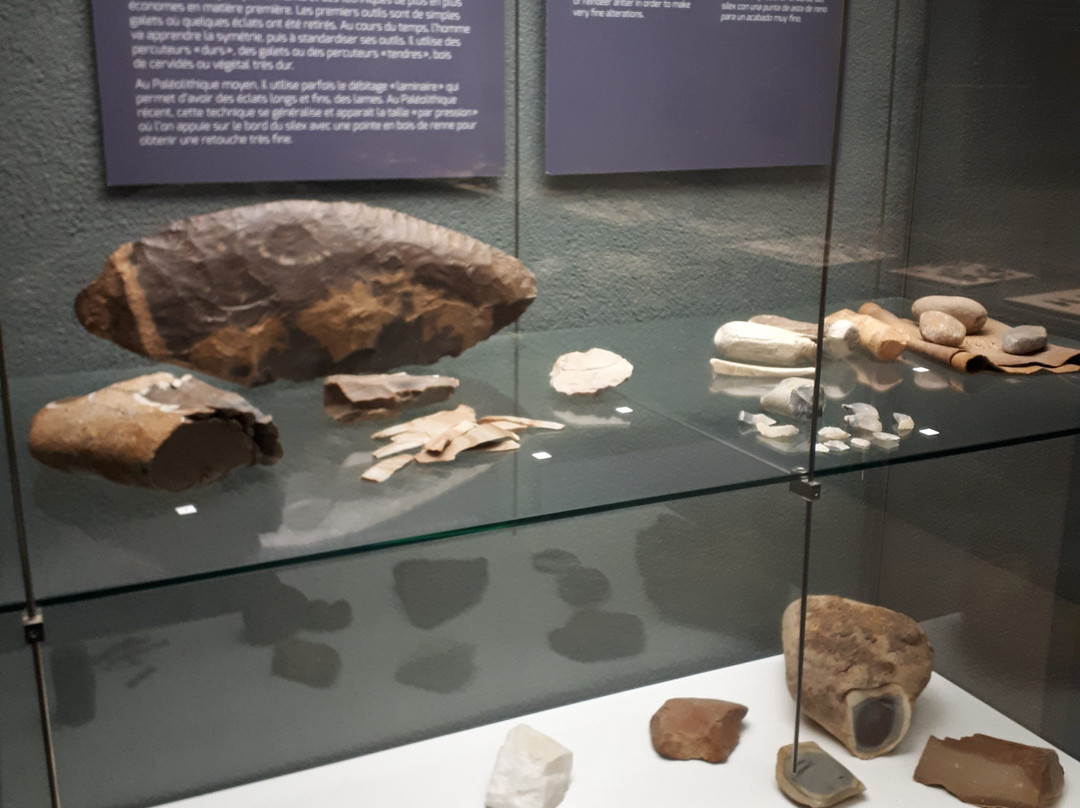 Musée d'Aquitaine-波尔多必去景点
