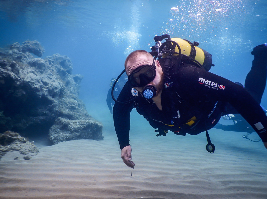 Wild Fun Dive-扎金索斯必去景点