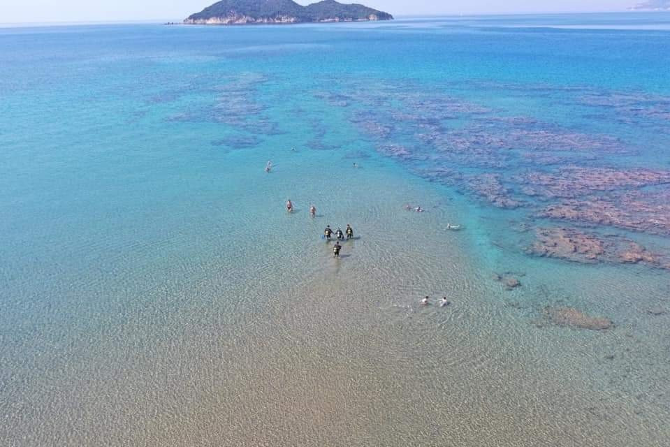 Wild Fun Dive-扎金索斯必去景点