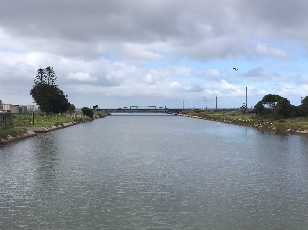 Burns Reserve (Altona Dog Beach)景点图片