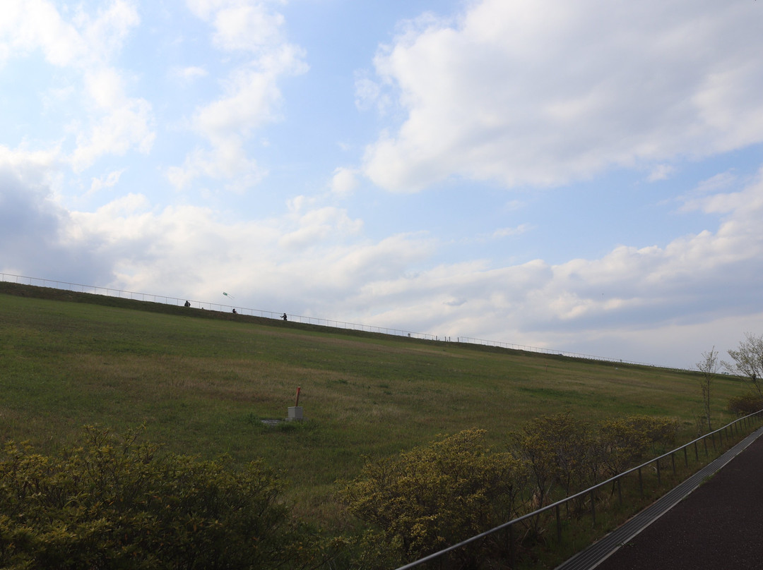 Sayama Prefectural Nature Park景点图片