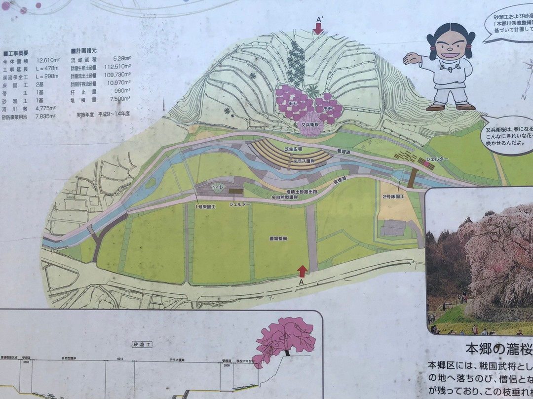 Matabeezakura景点图片