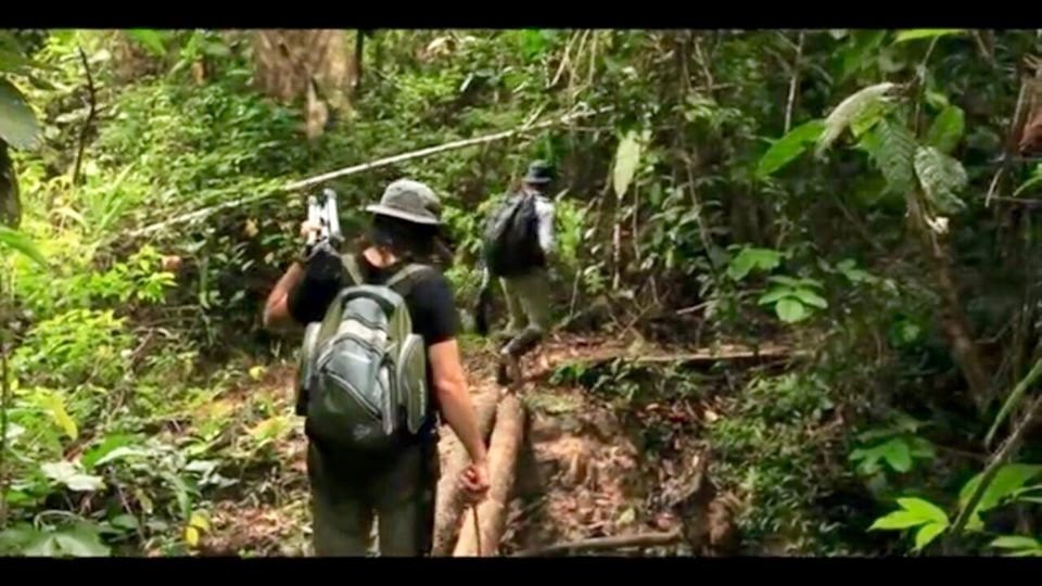 Green Wild Amazon Expedition景点图片