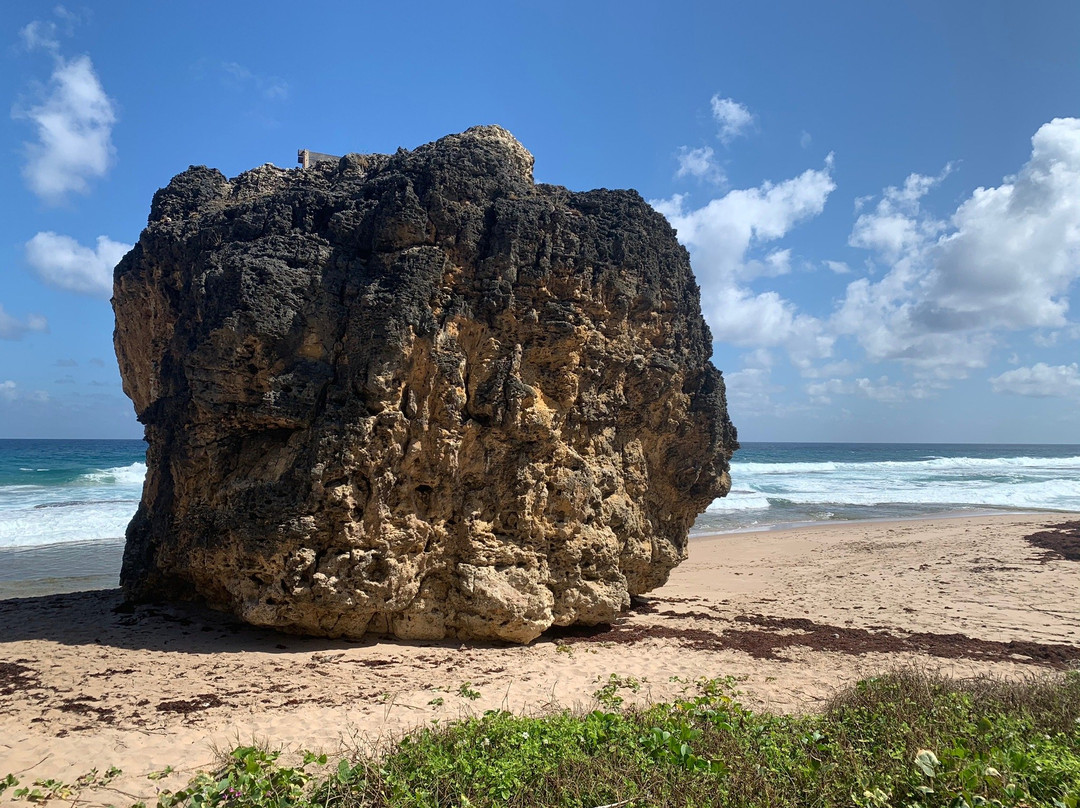 Cattlewash旅游攻略图片