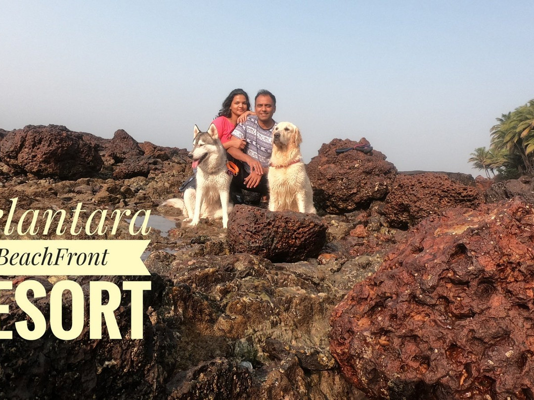 Belantara Beach Front主图