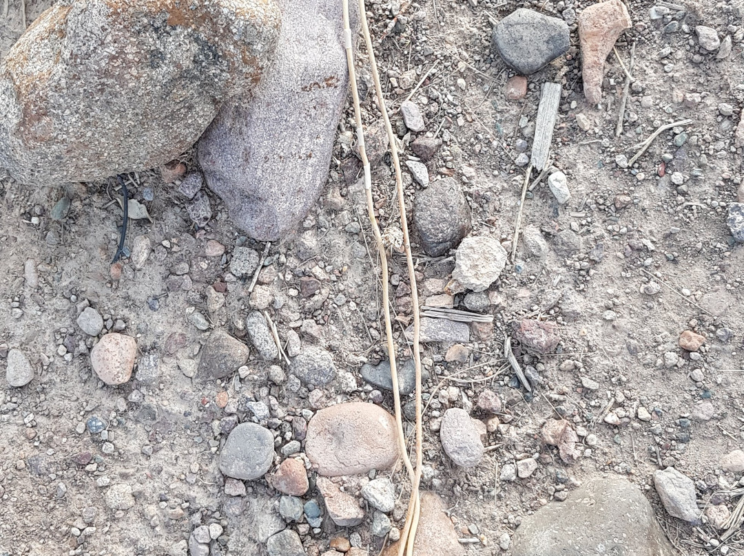 Hotel Pukarainca主图